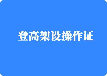 插鸡视频在线观看十八进登高架设操作证